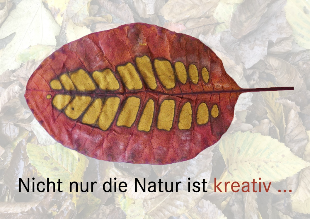 Herbstblatt-Hompage.jpg